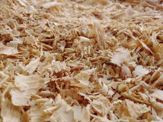Aserrín en madera