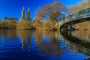 Bow Bridge in Central Park, New York in fall with Manhattan buildings in background and fallen leaves in the foreground