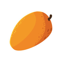 mango fresh fruit in white background