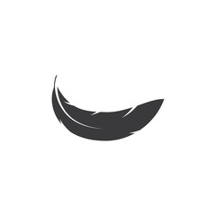 Obraz na płótnie Canvas Feather ilustration logo vector