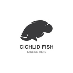 Chichlid Fish