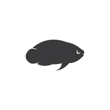 recommend clip art: Chichlid Fish