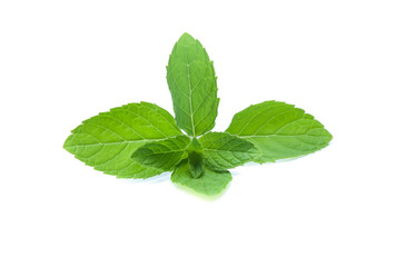 mint leaves isolated isolated on white