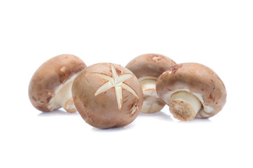 Fresh champignon mushrooms isolated on white