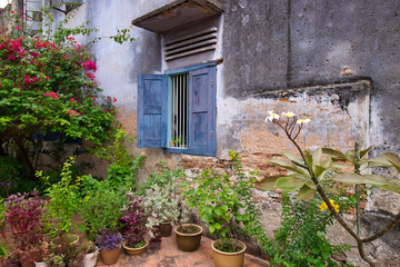 Fototapeta na wymiar blue vintage window with flowerpots 