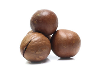 macadamia nuts on white background