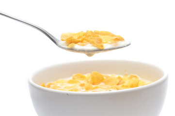 Cornflakes on bowl  isolated on white background