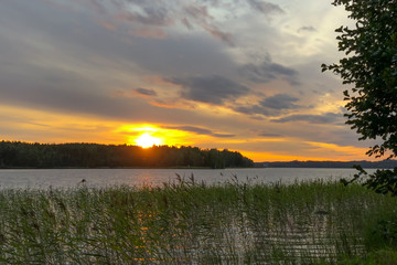 Sunset on a beautiful lake, in the foreground overgrown with grass. Climate Northern Europe