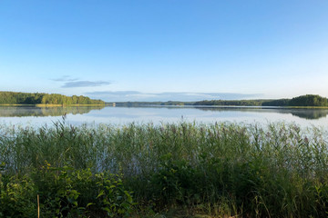 View of the beautiful lake , in the foreground overgrown with grass . The climate of Northern Europe