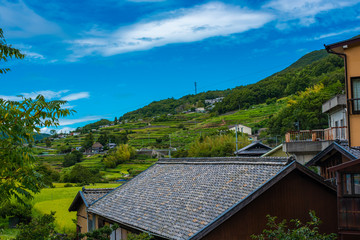 japanese rural landscape