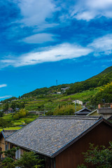 japanese rural landscape
