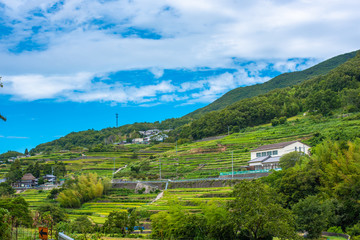 japanese rural landscape