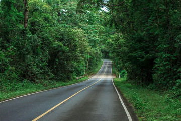 Road, Agricultural Field, Country Road, Land, Lawn