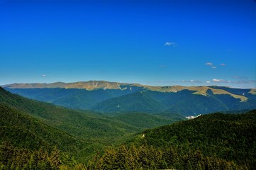 summer landscape of the Carpathian mountains