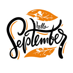 Hello September hand drawn vector lettering. Autumn phrase. © Octyabr