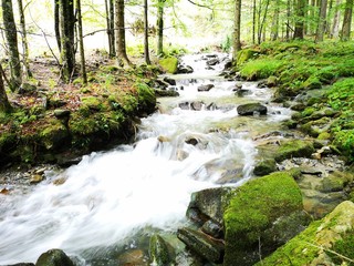 Obraz premium Wildbach w Alpach - Übelbach