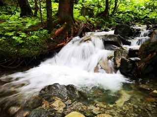 Obraz premium frisches Trinkwasser - Quellwasser aus den Bergen
