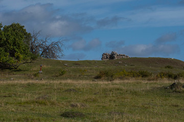 Obraz premium Viking burial mounds on the island Adelsö at the viking town on the island Birka close to Stockholm