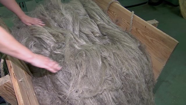 Short flax fiber. Flax fiber as it is used in paper industry and for making linen cloth