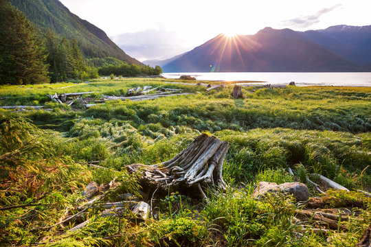 Bella Coola