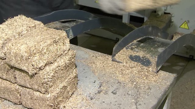 Short flax fiber. Fuel briquettes from flax.