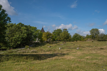 Obraz premium Live stock of sheeps and cows at the viking burial mounds on the island Adelsö at the viking town on the island Birka close to Stockholm