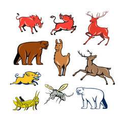 Set or collection of cartoon character mascot style illustration of wildilfe animals like wild boar, razorback, red deer, reindeer, llama, alpaca, bear, polar bear, grasshopper and mosquito isolated.