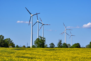 Canola field with wind turbines seen in Germany