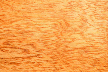 grunge wood plank Texture background for design