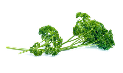 parsley isolated on white background