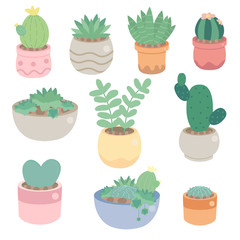 cute minimal cactus and succulent in pot collection