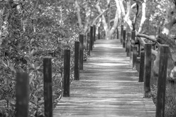 Obraz premium Blurred background of wooden bridges that allow tourists to walk through scenic views (mangroves, small forests) to study nature or relax on the way.