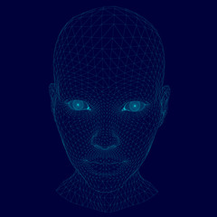 Wireframe of the head of a girl from blue lines. Polygonal head of a girl. 3D. Vector illustration.
