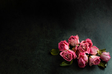 bouquet of pink roses on dark background