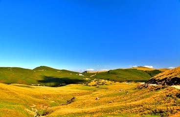 Fototapeta na wymiar on the plateau of the Bucegi mountains in summer