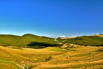 on the plateau of the Bucegi mountains in summer