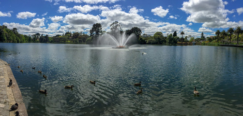 Fototapeta premium Fountain in action on beautiful Virginia Lake in Whanganui New Zealand