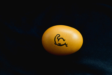 Novelty concept, Cartoon image of muscle on egg shell