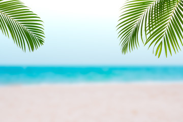 Obraz na płótnie Canvas Summertime concept with Tropical palm leaves on sea beach, Spring lifestyle design with copy space for text, Summer advertising and banner.