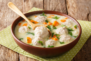 Fresh thick soup with meatballs, yogurt, rice and vegetables close-up in a bowl. horizontal