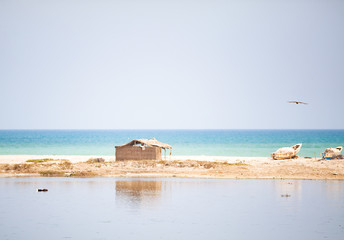 Fototapeta na wymiar le Sénégal et ses plages 