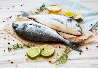 Fresh fish dorado