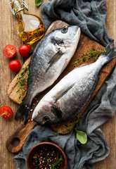 Fresh fish dorado
