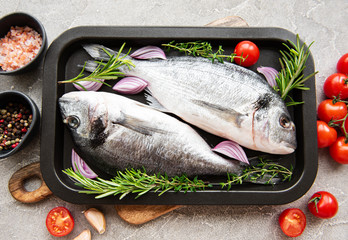 Fresh fish dorado