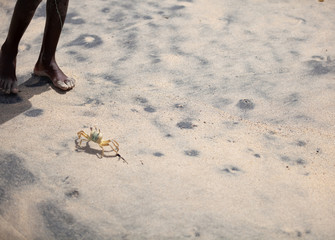 le jeu du crabe