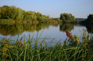 Summer landscape with lake in the field and blue sky and green grass at the morning