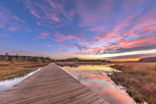 Boardwalk in natural heathland fen crop