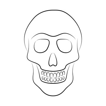 Skull black line on a white background. Holiday Day of the Dead. Mexico. Isolated image. Tattoo. Template. Silhouette. Circuit.