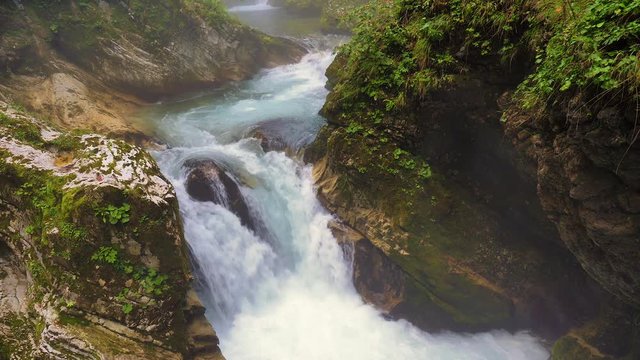 Radovna River flowing fast at Vintagr gorge, Slovenia, with lush green surrounding nature.