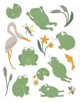 Vector set of cartoon style flat funny frogs in different poses with waterlily, dragonfly, mosquito, reed, heron clip art. Cute illustration of woodland swamp animals. Collection of amphibians